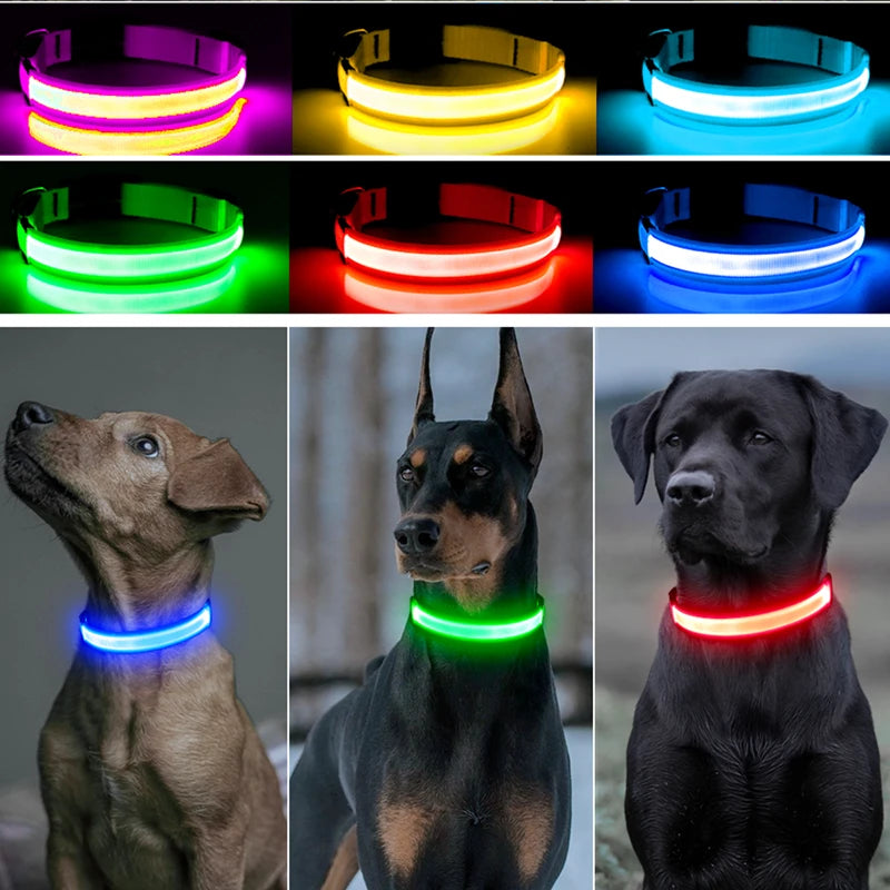 USB Rechargeable LED Glowing Dog Collar