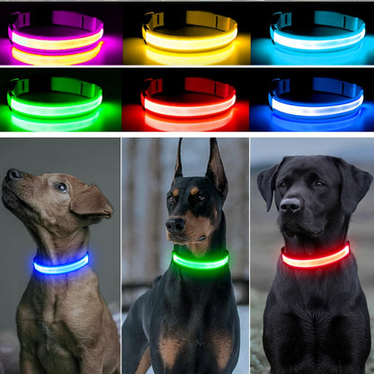 USB Rechargeable LED Glowing Dog Collar