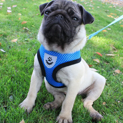 Summer Breathable Adjustable Mesh Harness & Leash for Small Dogs & Cats – Reflective Safety Vest