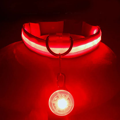 USB Rechargeable LED Glowing Dog Collar