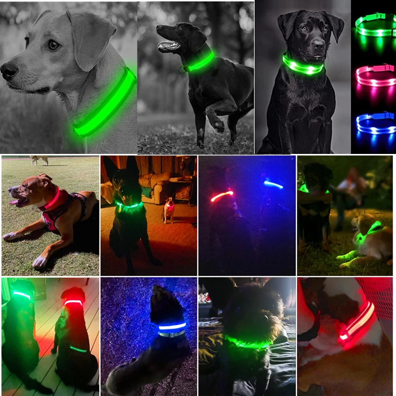 USB Rechargeable LED Glowing Dog Collar