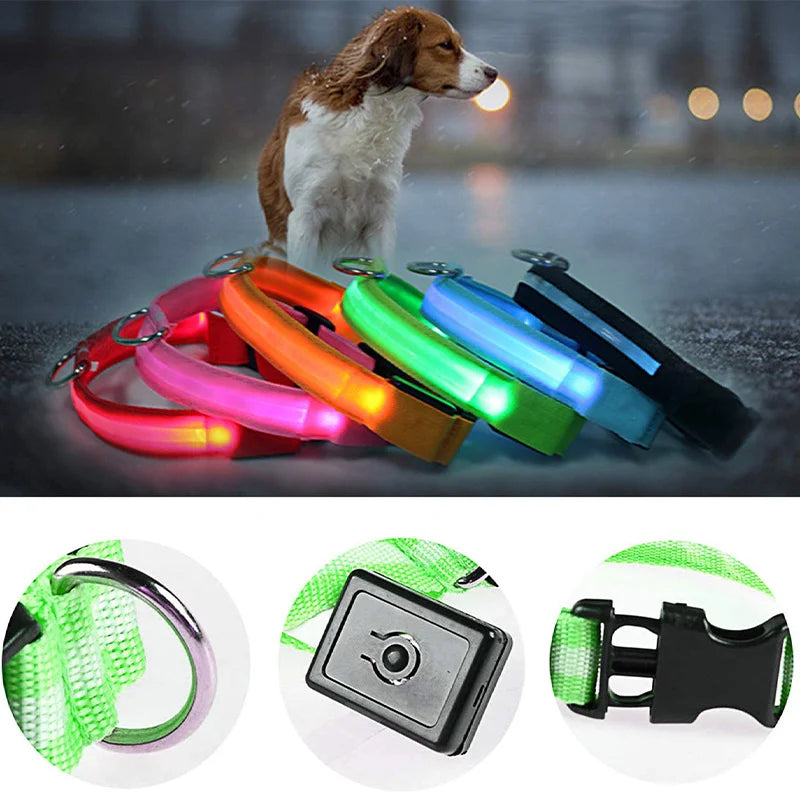 USB Rechargeable LED Glowing Dog Collar