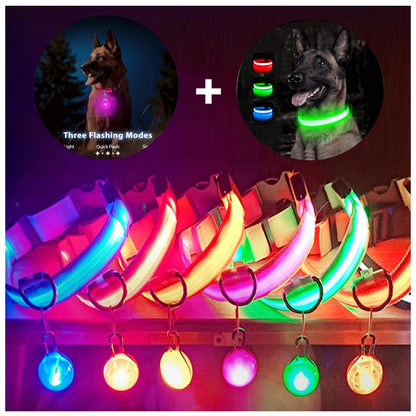 USB Rechargeable LED Glowing Dog Collar