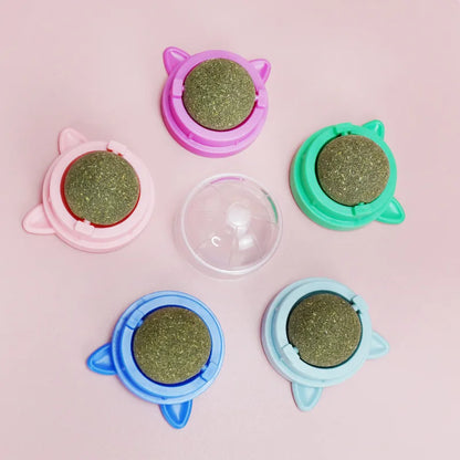 Natural Catnip & Cat Grass Digestive Treats with Scratch Wall Sticker