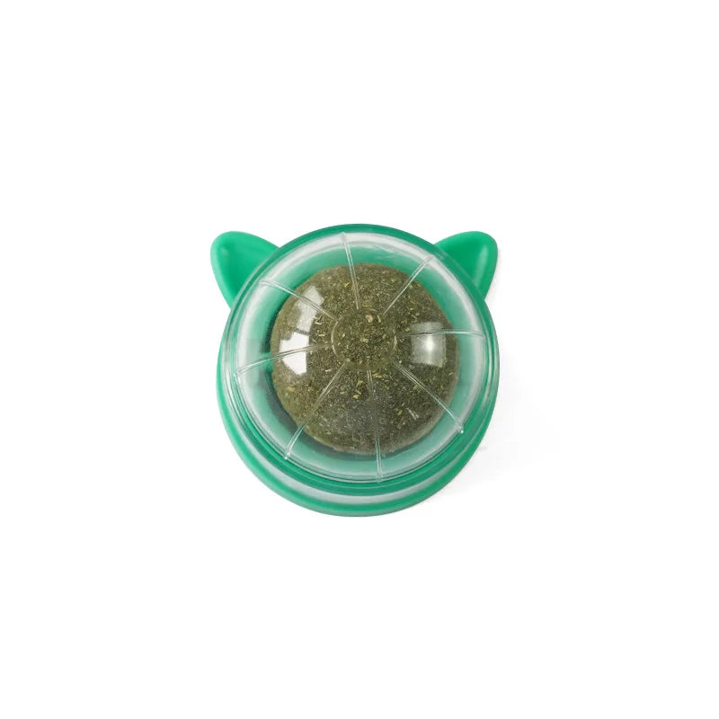 Natural Catnip & Cat Grass Digestive Treats with Scratch Wall Sticker