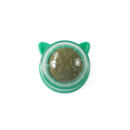 Natural Catnip & Cat Grass Digestive Treats with Scratch Wall Sticker