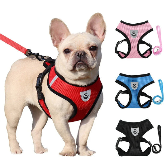 Summer Breathable Adjustable Mesh Harness & Leash for Small Dogs & Cats – Reflective Safety Vest