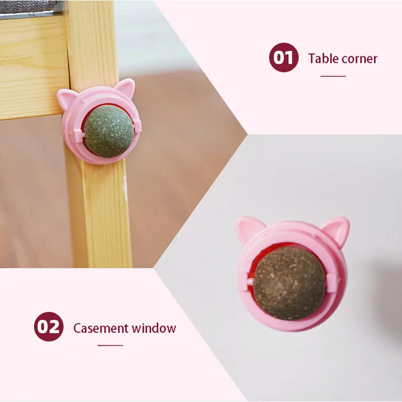 Natural Catnip & Cat Grass Digestive Treats with Scratch Wall Sticker