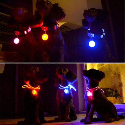 USB Rechargeable LED Glowing Dog Collar