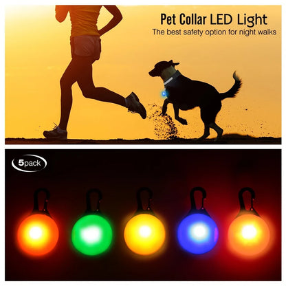 USB Rechargeable LED Glowing Dog Collar