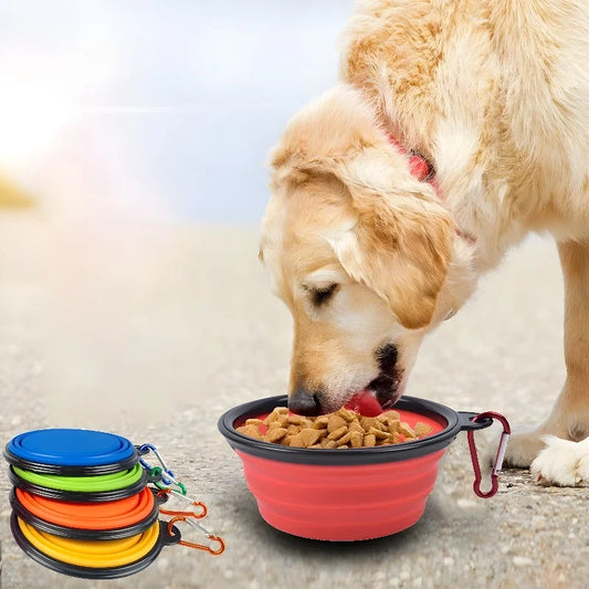 Collapsible Silicone Dog Bowl – 350ml Portable Travel Feeder