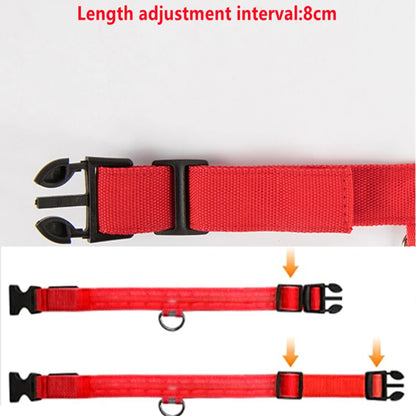USB Rechargeable LED Glowing Dog Collar