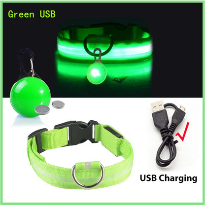 USB Rechargeable LED Glowing Dog Collar