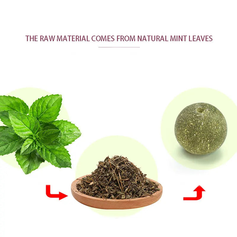 Natural Catnip & Cat Grass Digestive Treats with Scratch Wall Sticker