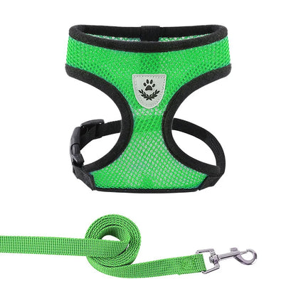 Summer Breathable Adjustable Mesh Harness & Leash for Small Dogs & Cats – Reflective Safety Vest