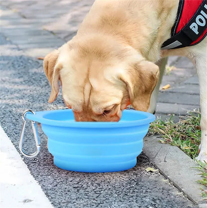 Collapsible Silicone Dog Bowl – 350ml Portable Travel Feeder