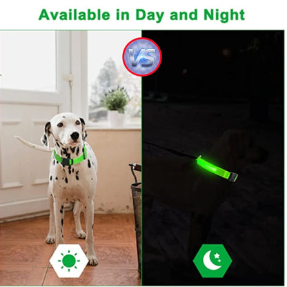 USB Rechargeable LED Glowing Dog Collar