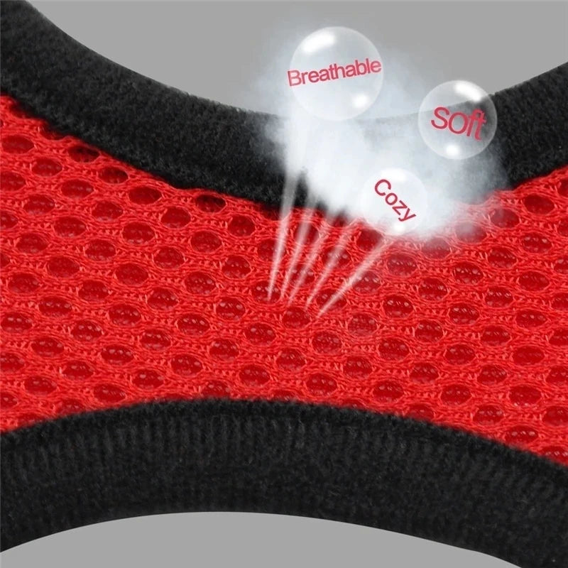 Summer Breathable Adjustable Mesh Harness & Leash for Small Dogs & Cats – Reflective Safety Vest