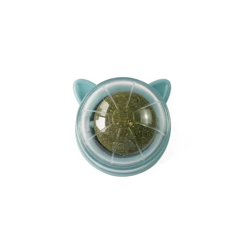 Natural Catnip & Cat Grass Digestive Treats with Scratch Wall Sticker