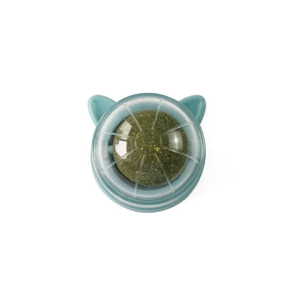 Natural Catnip & Cat Grass Digestive Treats with Scratch Wall Sticker