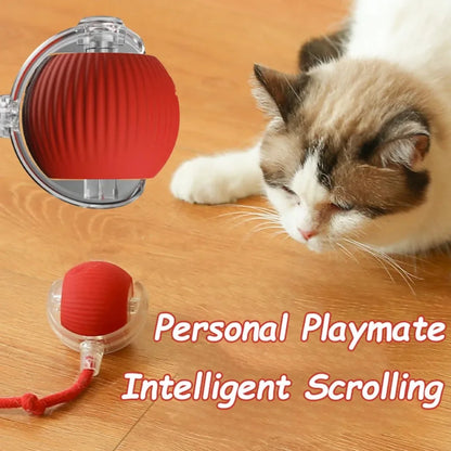 Rechargeable Smart Rolling Cat Toy – Faux Tail Mouse Simulation Ball
