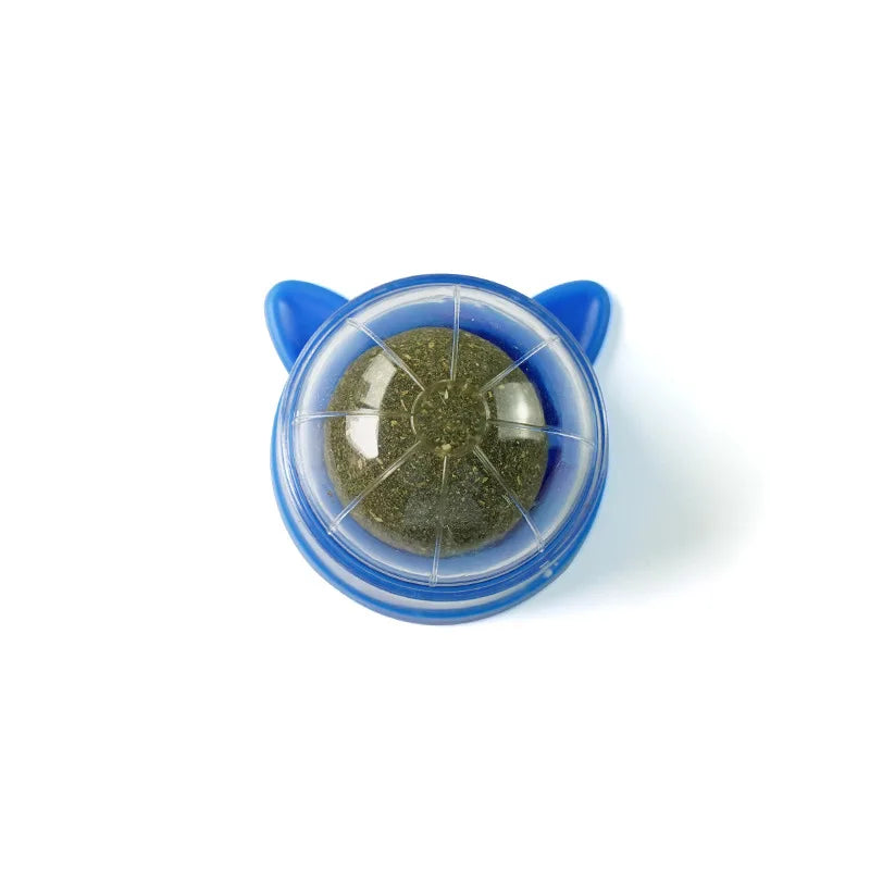 Natural Catnip & Cat Grass Digestive Treats with Scratch Wall Sticker