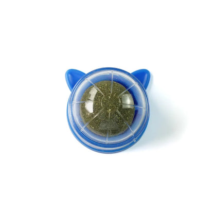 Natural Catnip & Cat Grass Digestive Treats with Scratch Wall Sticker