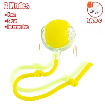 Rechargeable Smart Rolling Cat Toy – Faux Tail Mouse Simulation Ball