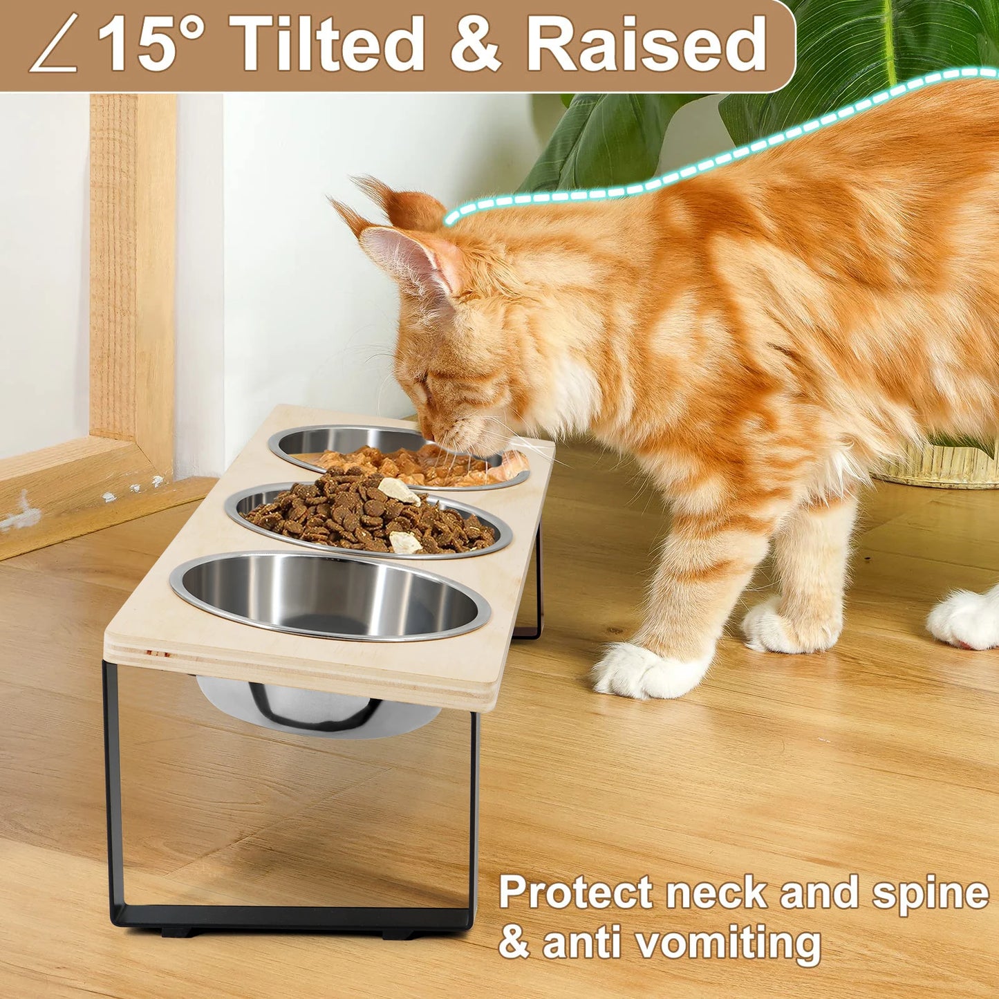 Elevated Cat Feeder – 15° Tilted Raised Stand with 3 Stainless Steel Bowls