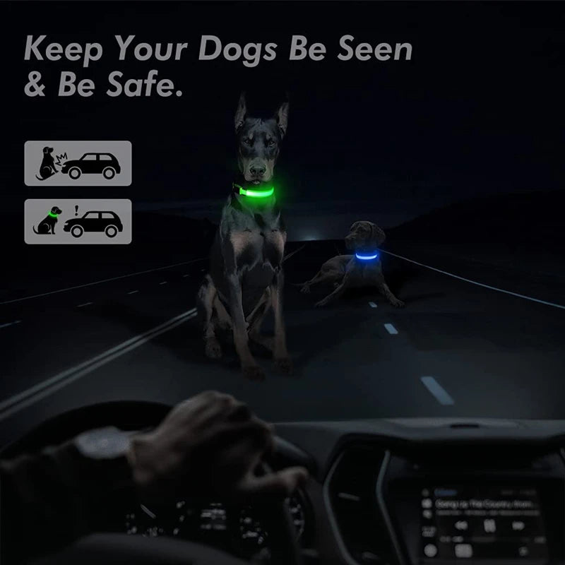 USB Rechargeable LED Glowing Dog Collar