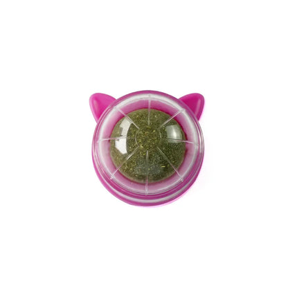 Natural Catnip & Cat Grass Digestive Treats with Scratch Wall Sticker